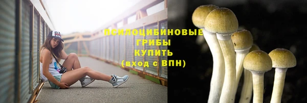 прущий лед Алзамай