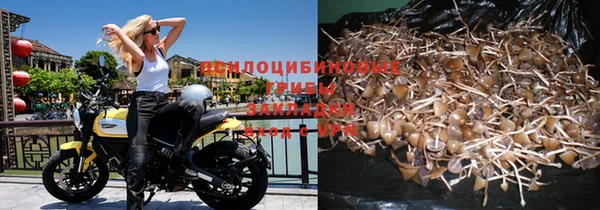 стафф Абинск