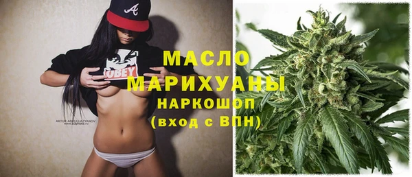 прущий лед Алзамай
