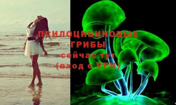 прущий лед Алзамай
