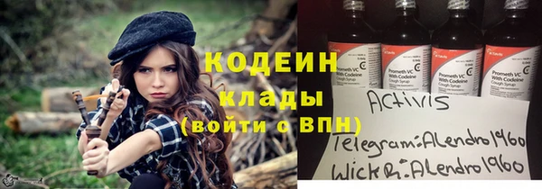 прущий лед Алзамай